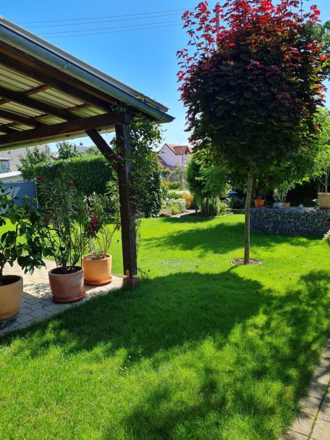 Haus Schneider Lejlighed Kappel-Grafenhausen Eksteriør billede