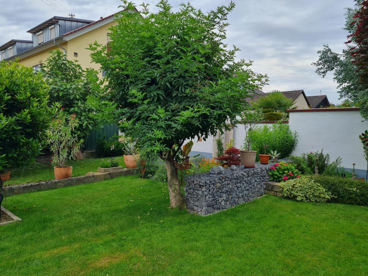 Haus Schneider Lejlighed Kappel-Grafenhausen Eksteriør billede